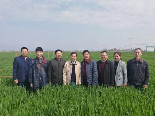 球王会平台