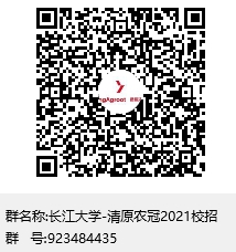 球王会平台