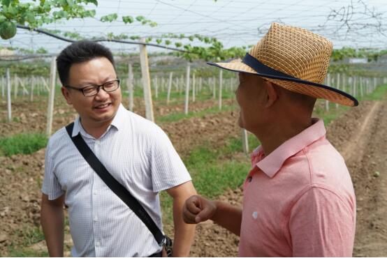 球王会平台