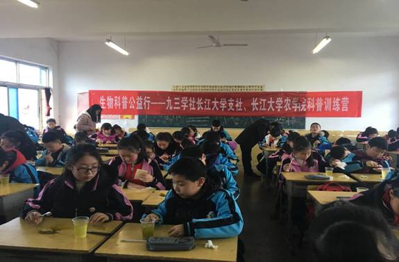球王会平台