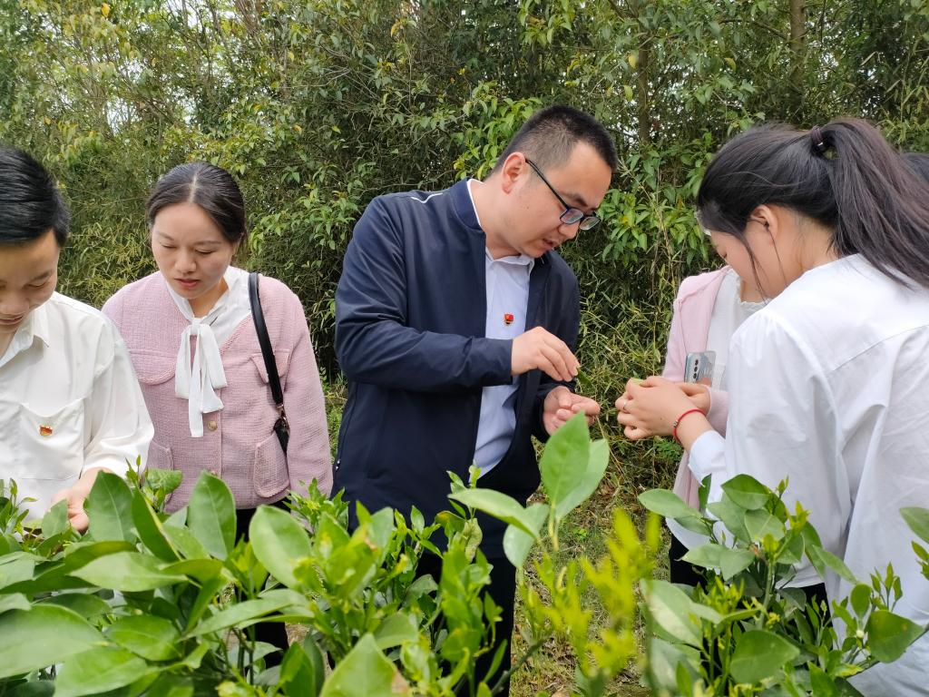 球王会平台