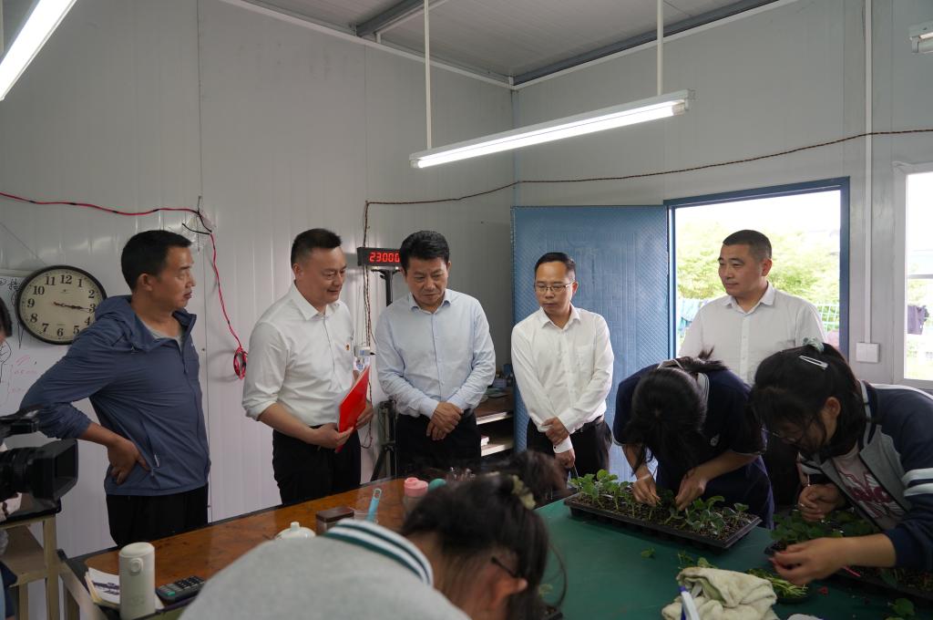 球王会平台