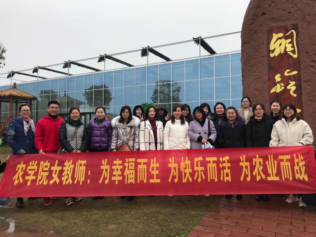 球王会平台