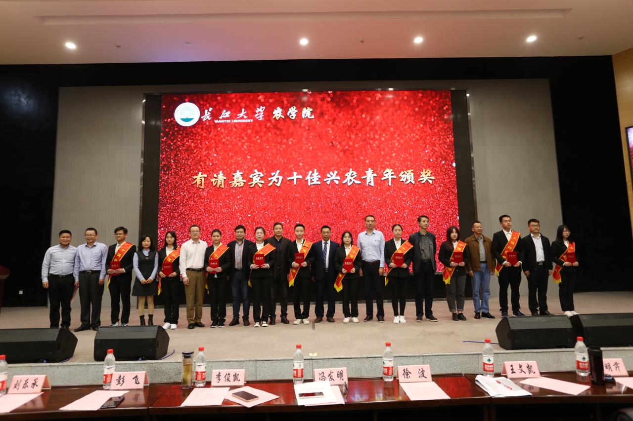 球王会平台