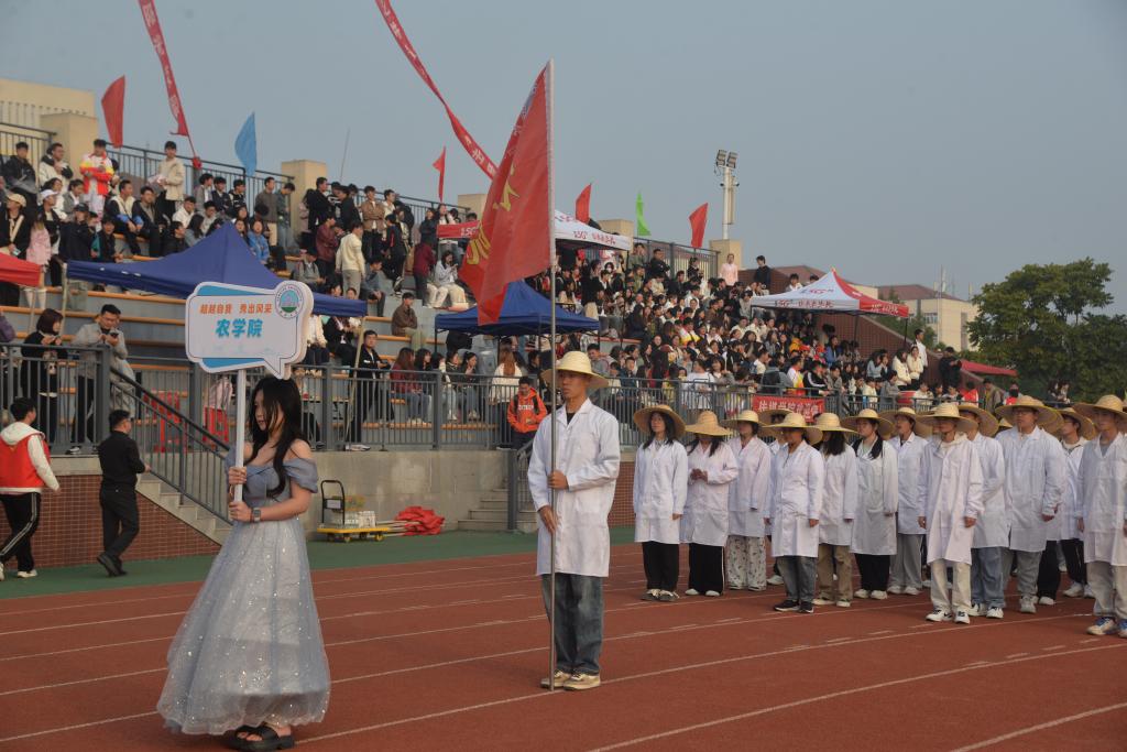 球王会平台