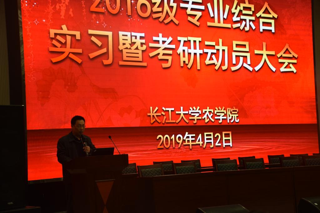 球王会平台