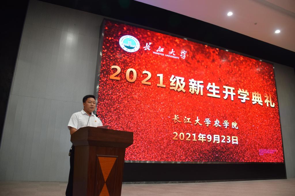 球王会平台