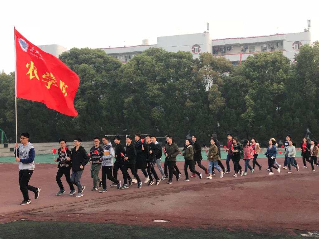 球王会平台