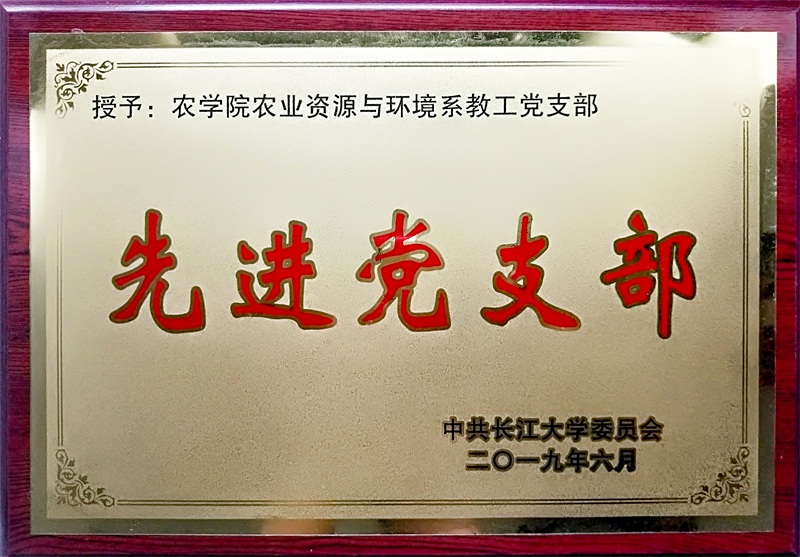 球王会平台