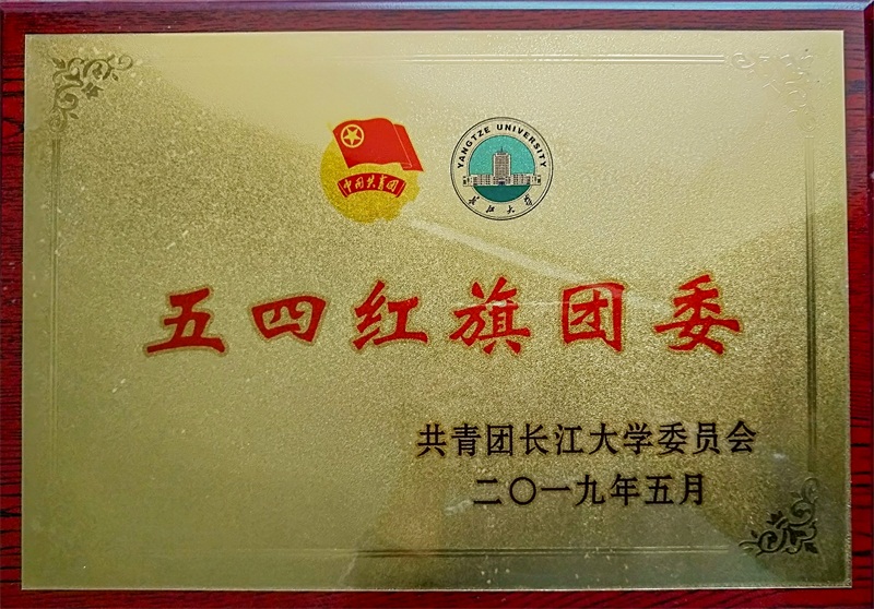 球王会平台