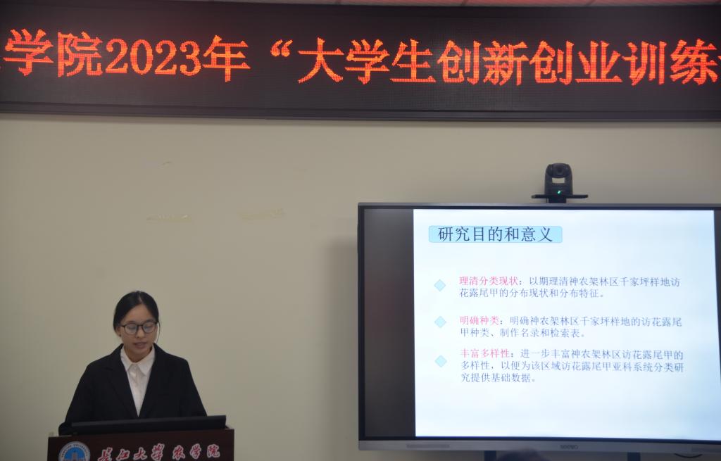 球王会平台