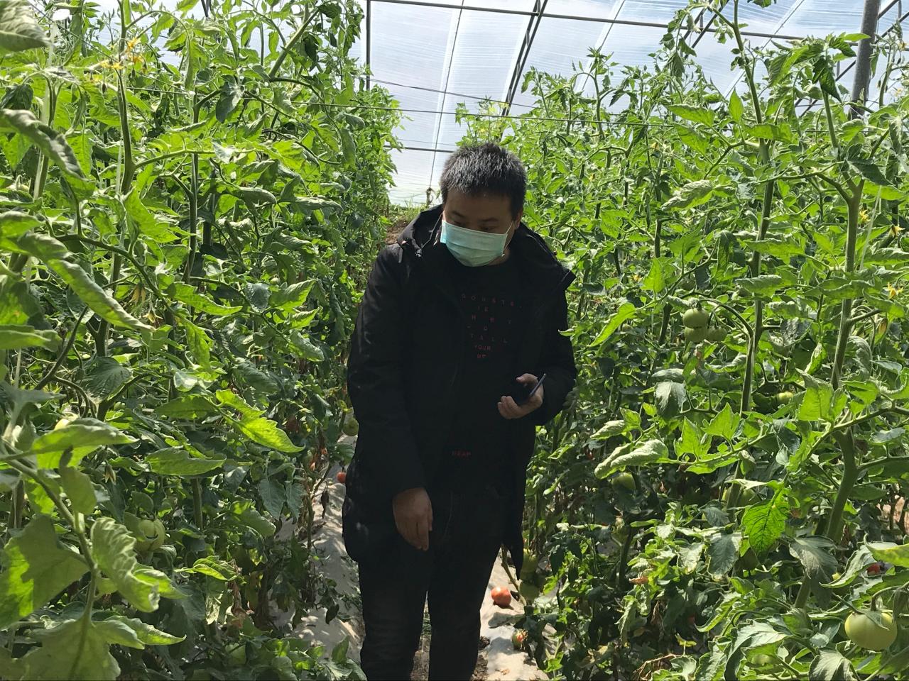 球王会平台