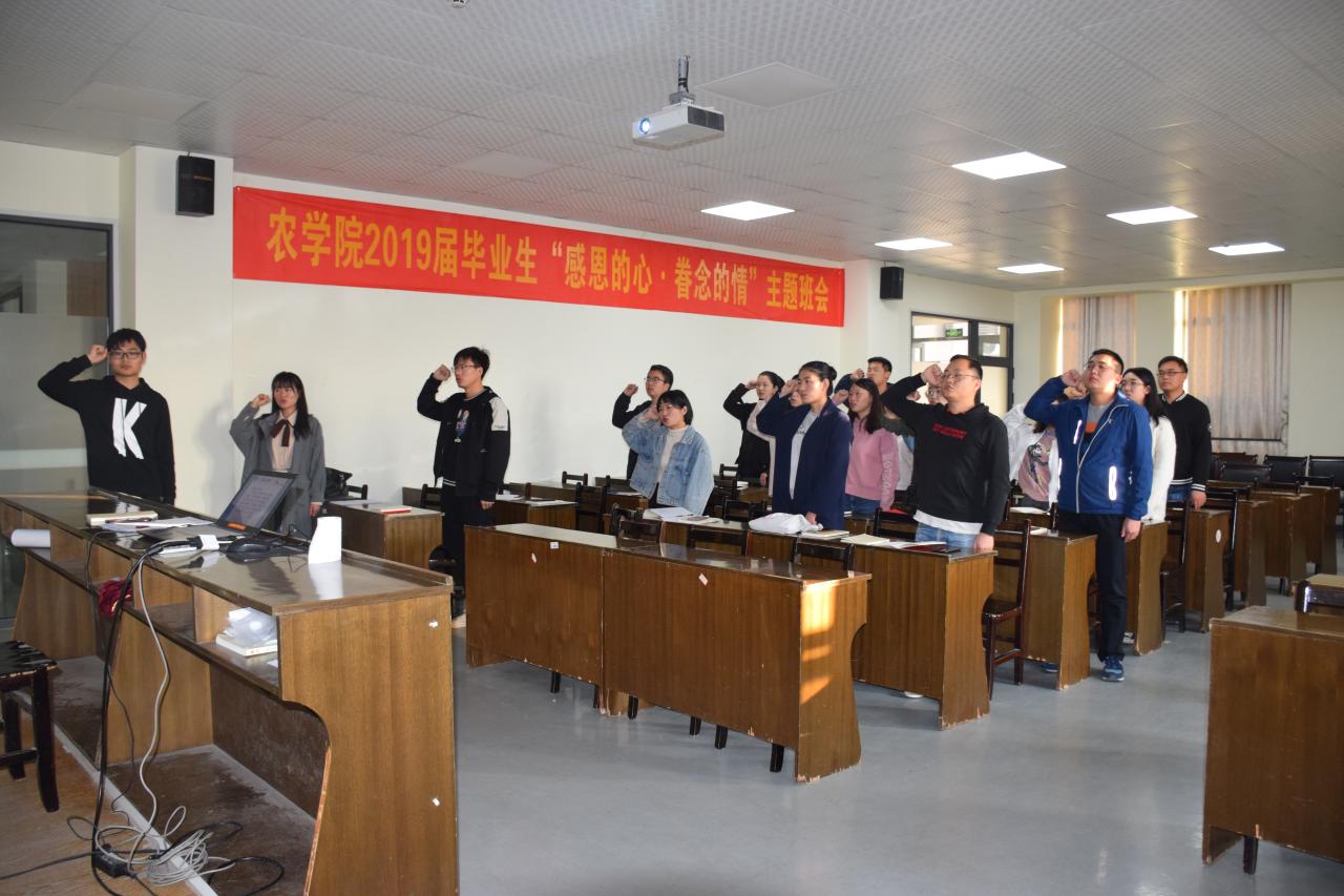 球王会平台