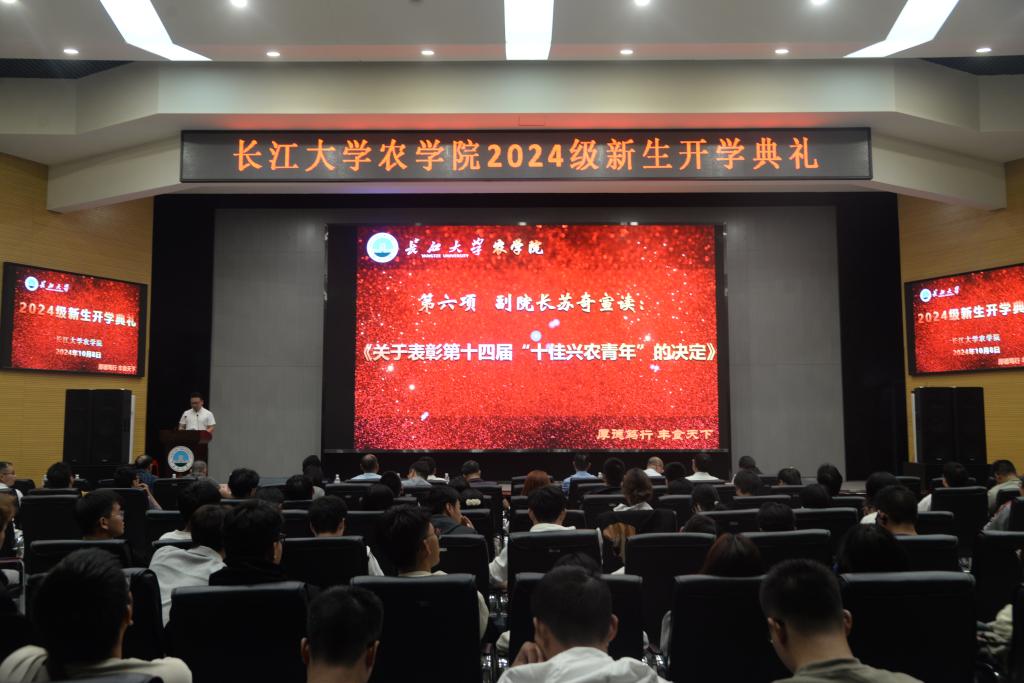 球王会平台