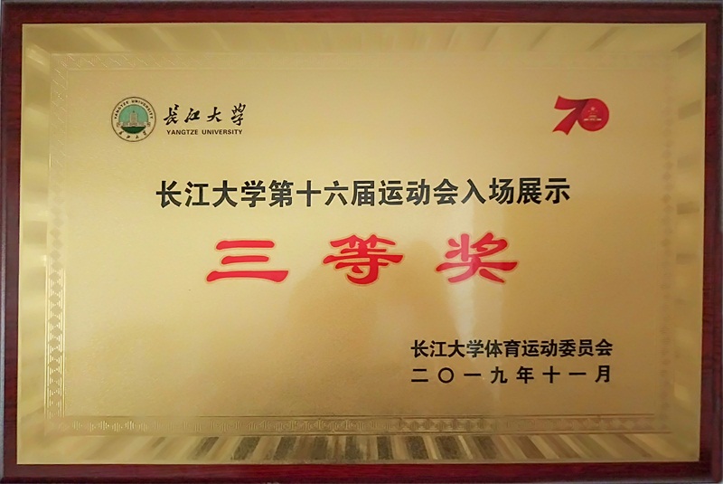 球王会平台