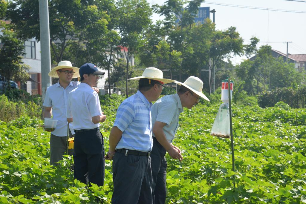 球王会平台