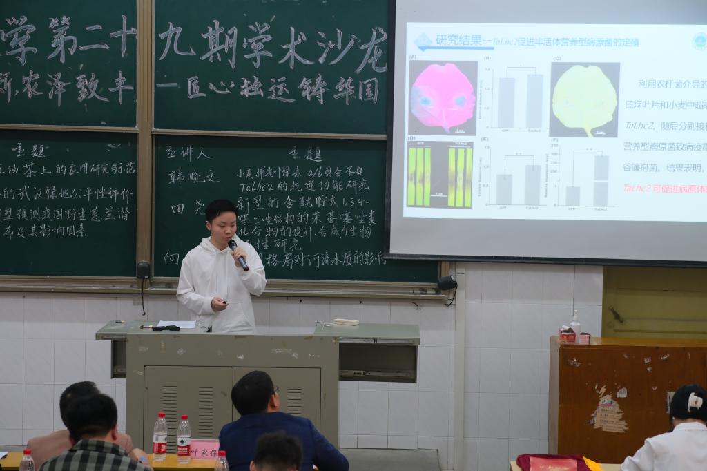 球王会平台