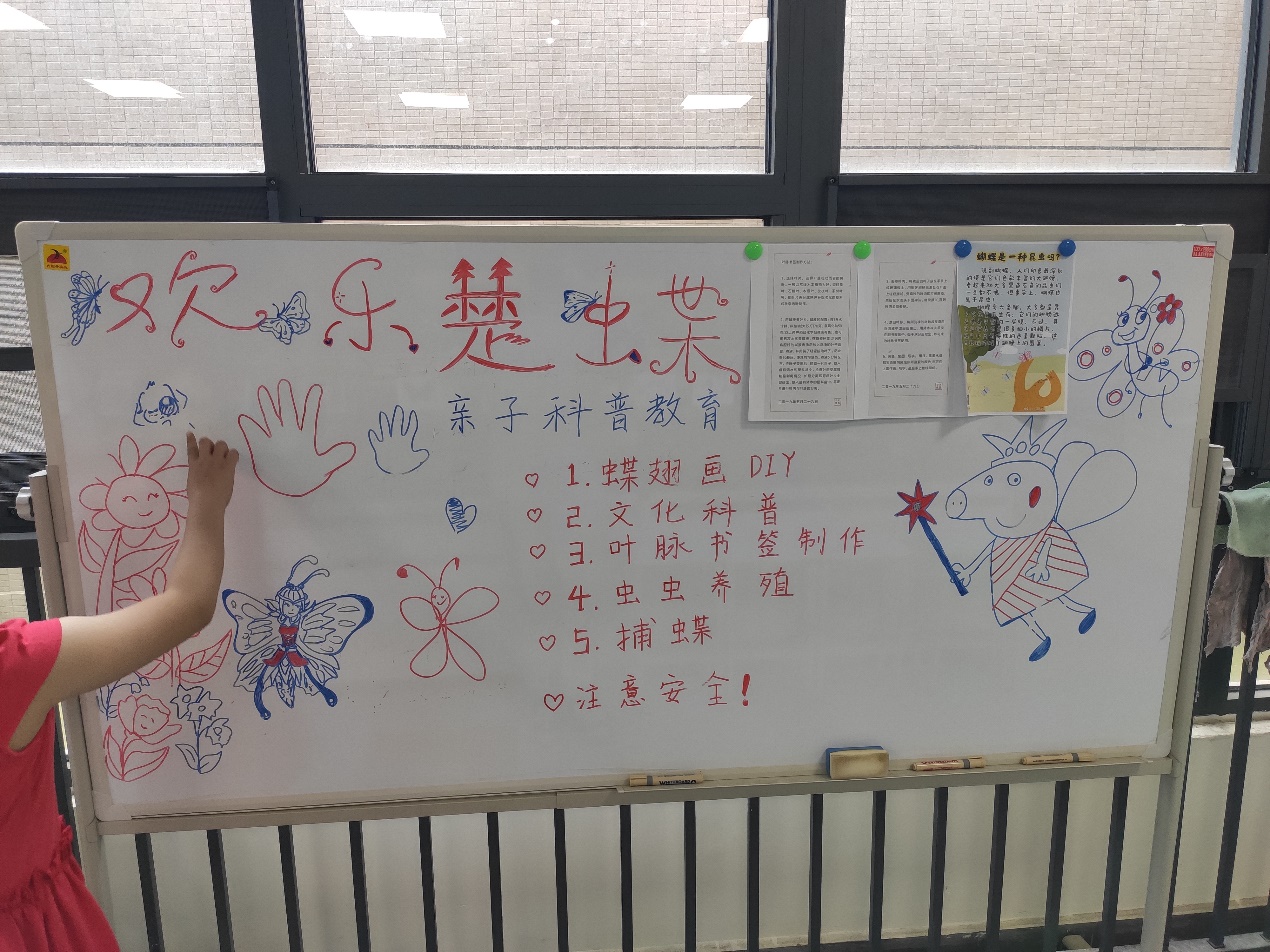球王会平台