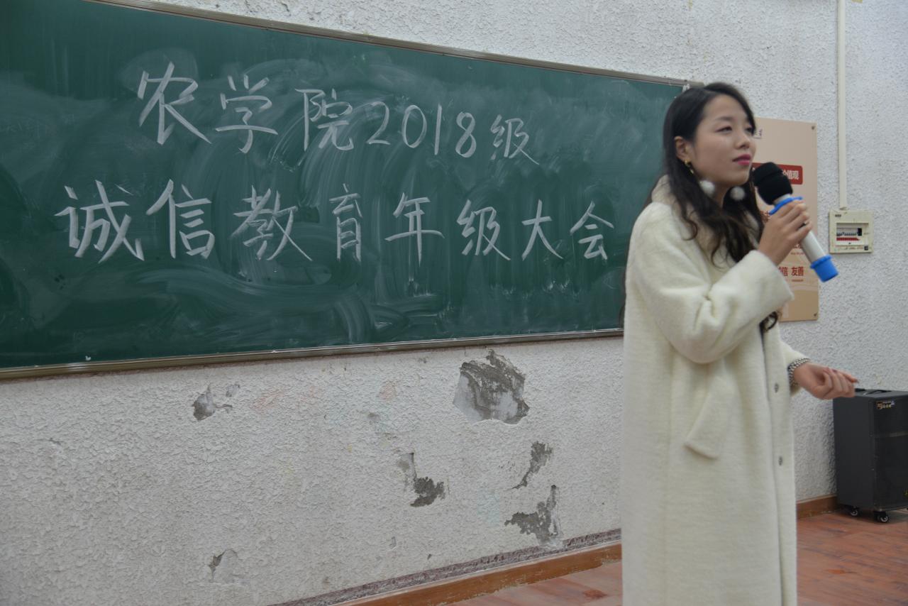 球王会平台