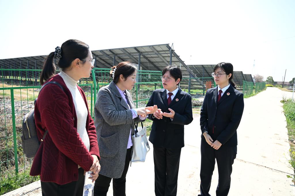 球王会平台