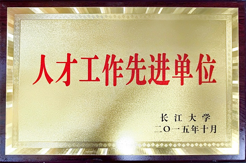 球王会平台