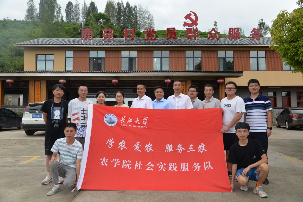 球王会平台