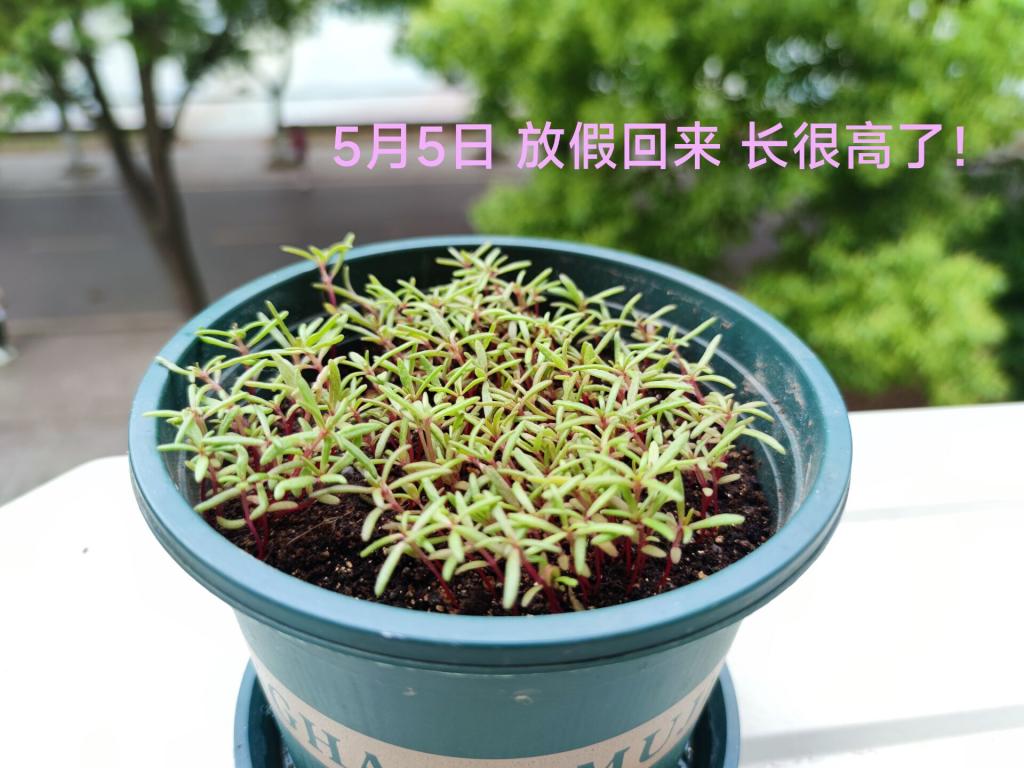 球王会平台