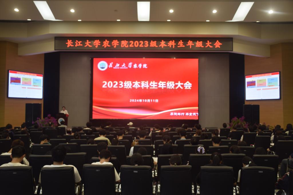 球王会平台