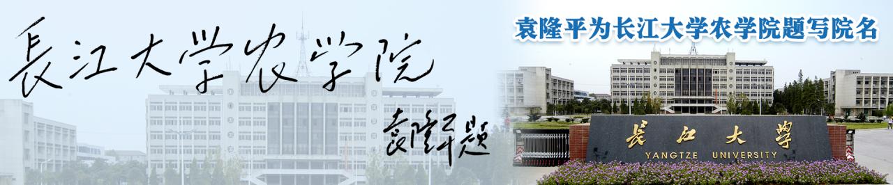 球王会平台