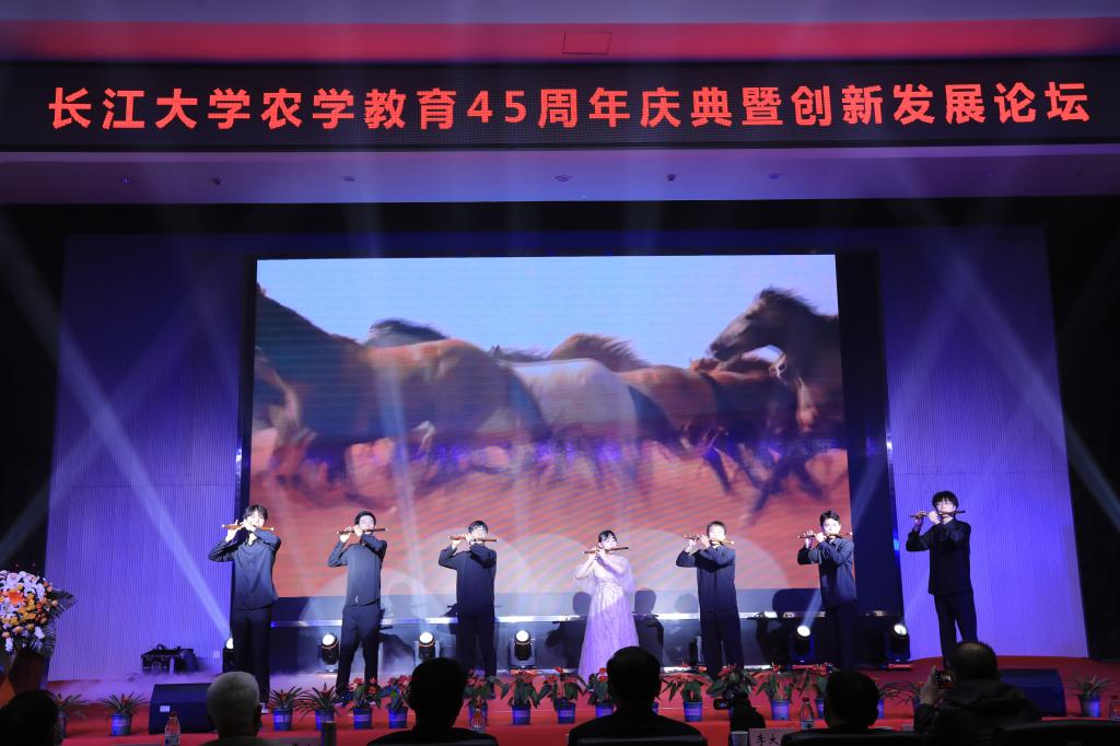球王会平台