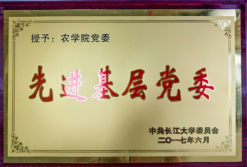 球王会平台