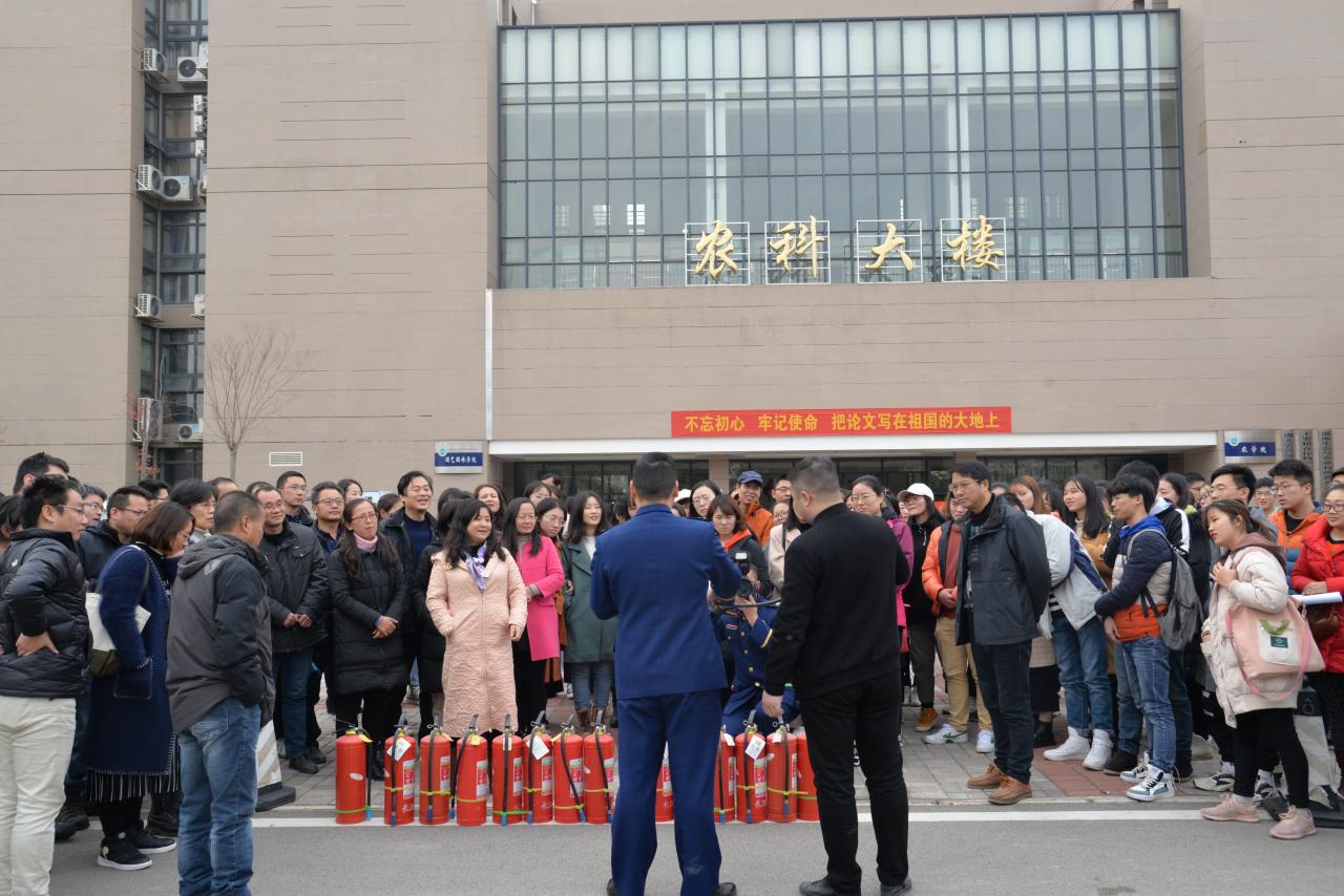 球王会平台