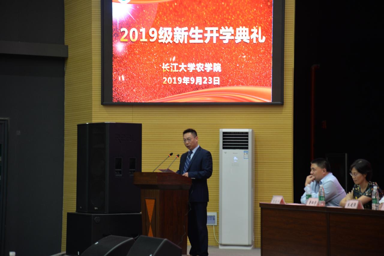 球王会平台