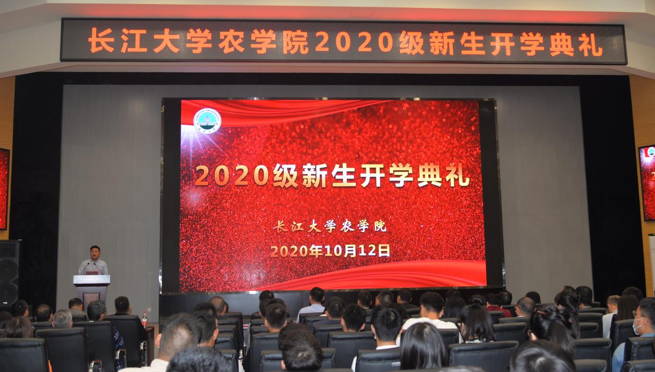 球王会平台
