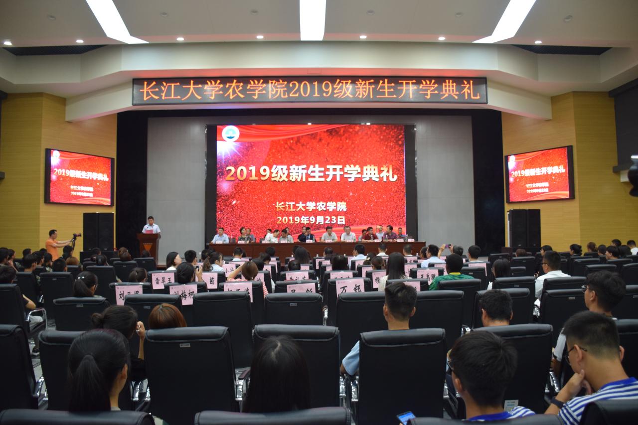 球王会平台