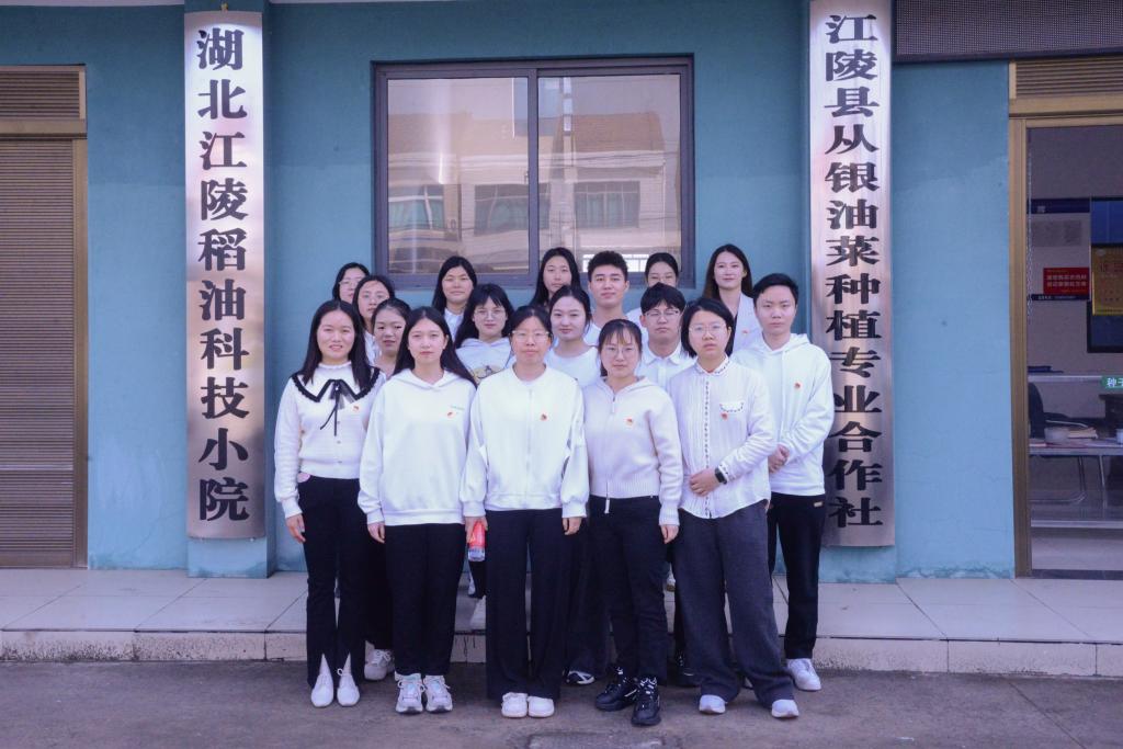球王会平台
