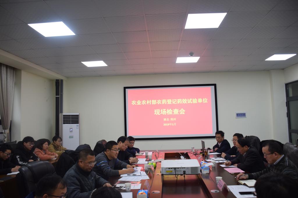 球王会平台
