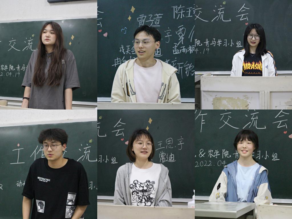 球王会平台