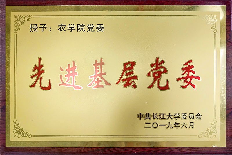 球王会平台