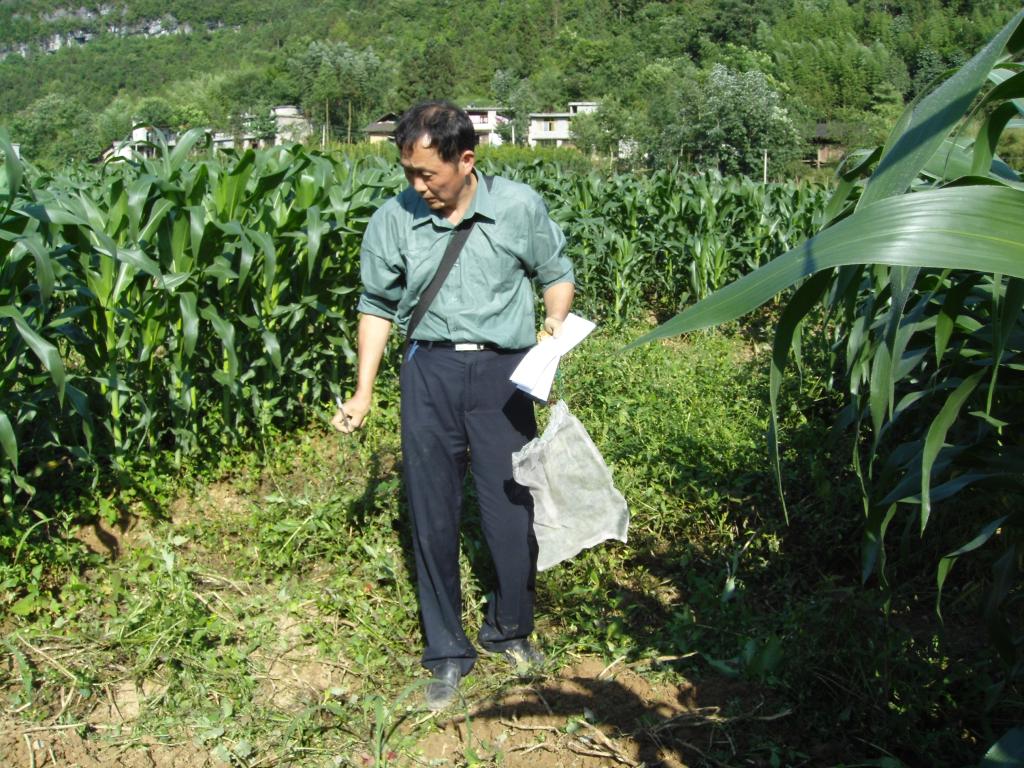 球王会平台