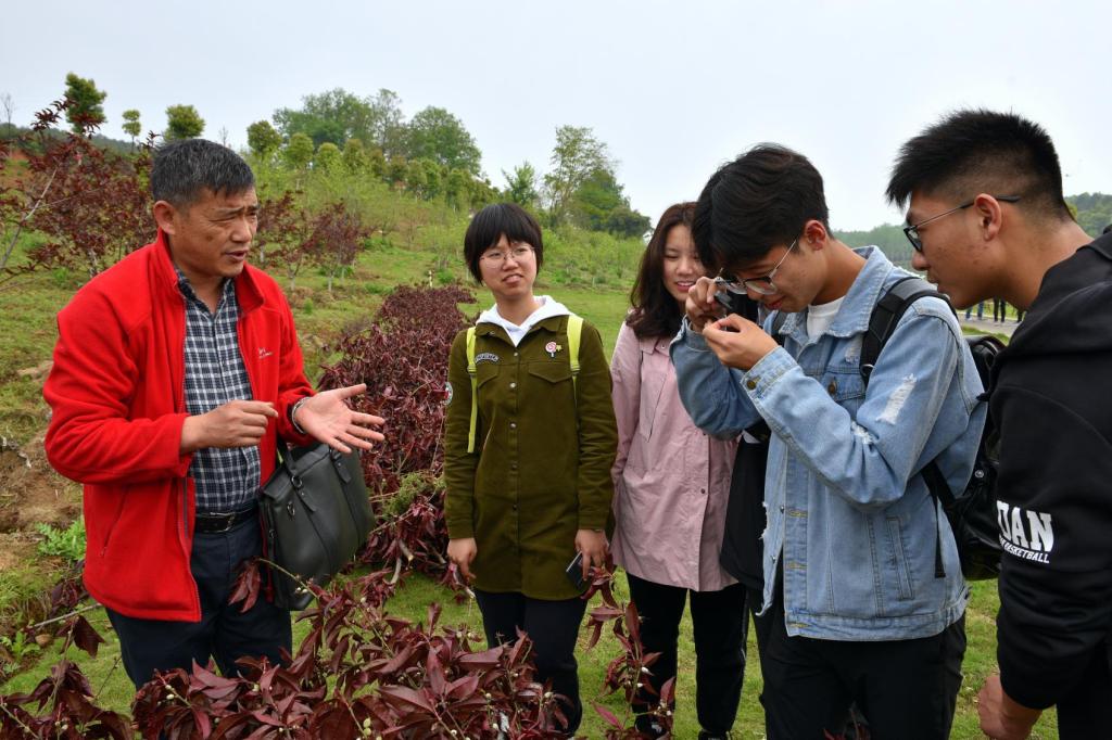 球王会平台