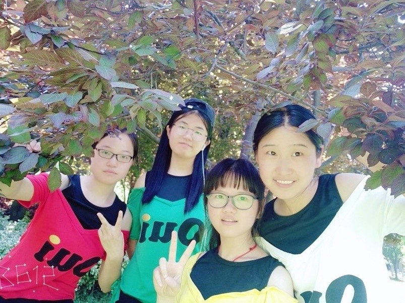 球王会平台