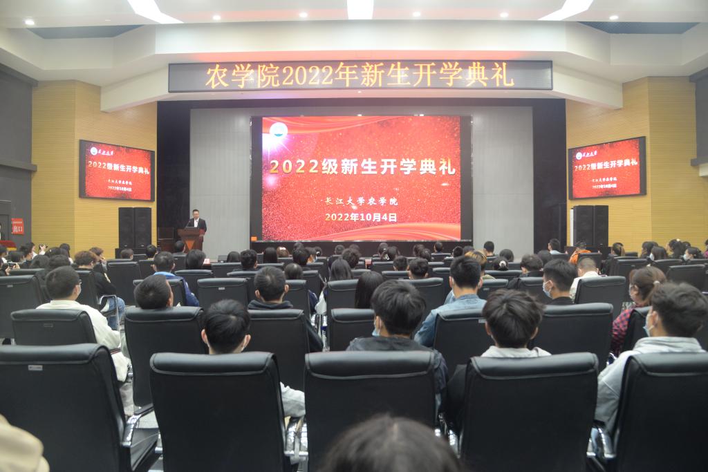 球王会平台