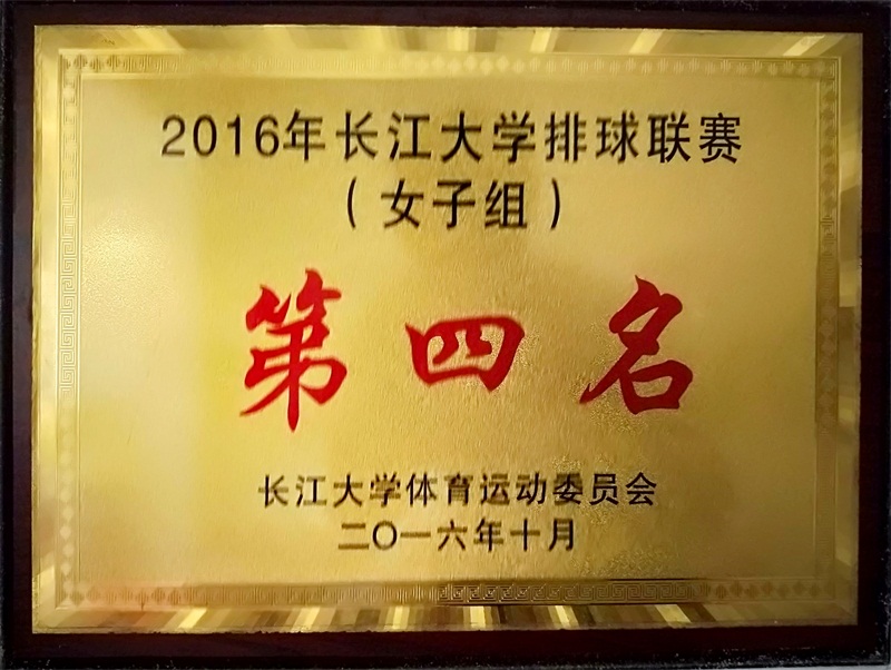 球王会平台
