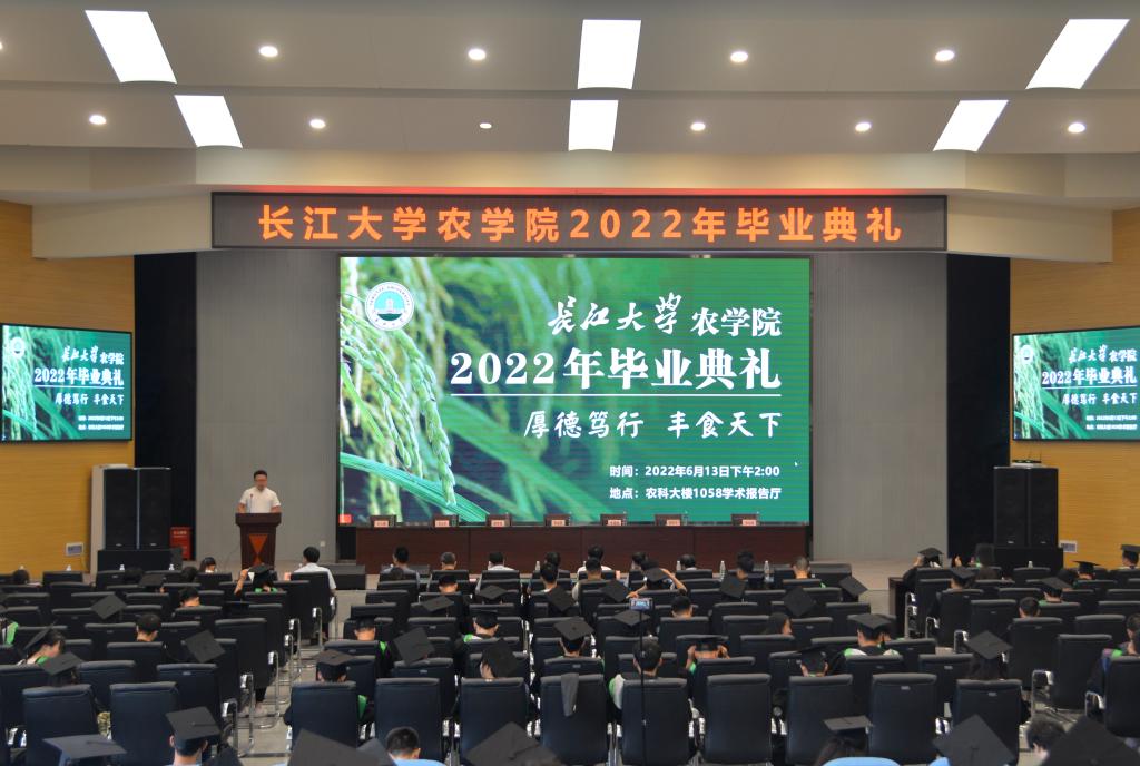 球王会平台