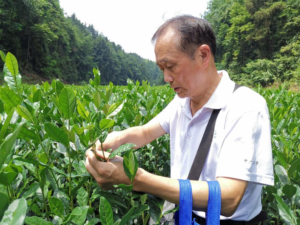 球王会平台