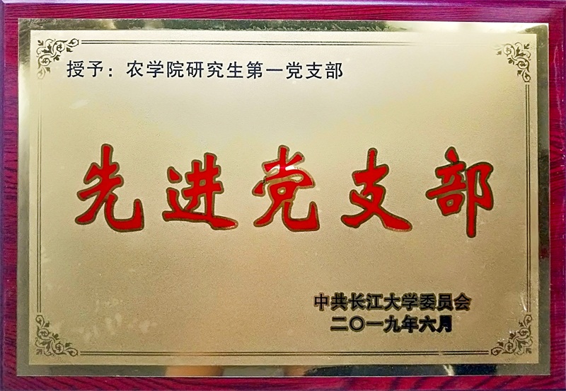 球王会平台