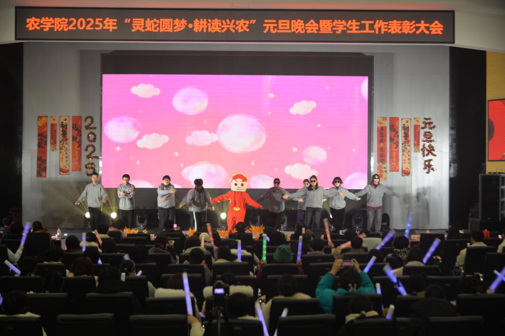球王会平台