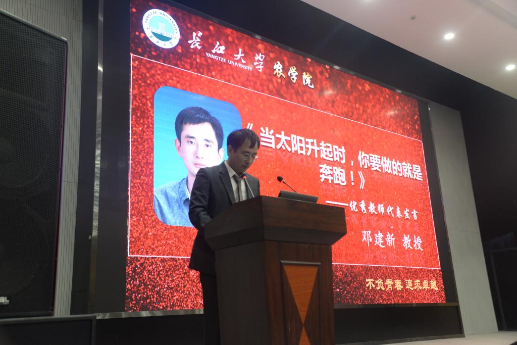 球王会平台