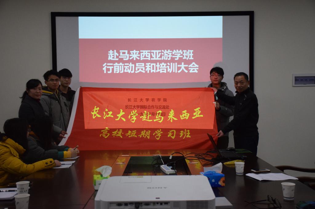 球王会平台